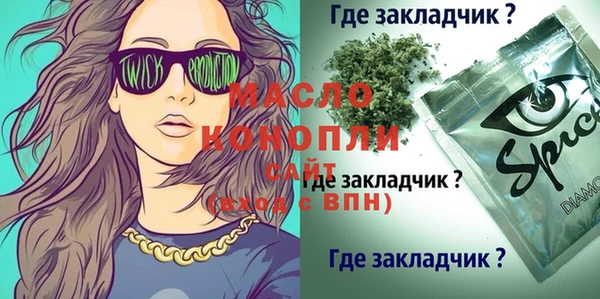 СК Алексин
